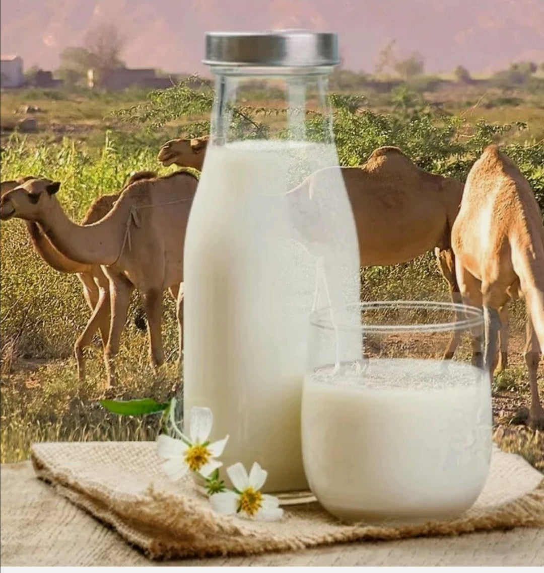 Camels Milk Nutritious Goodness Tasty x 1 (235 ml )