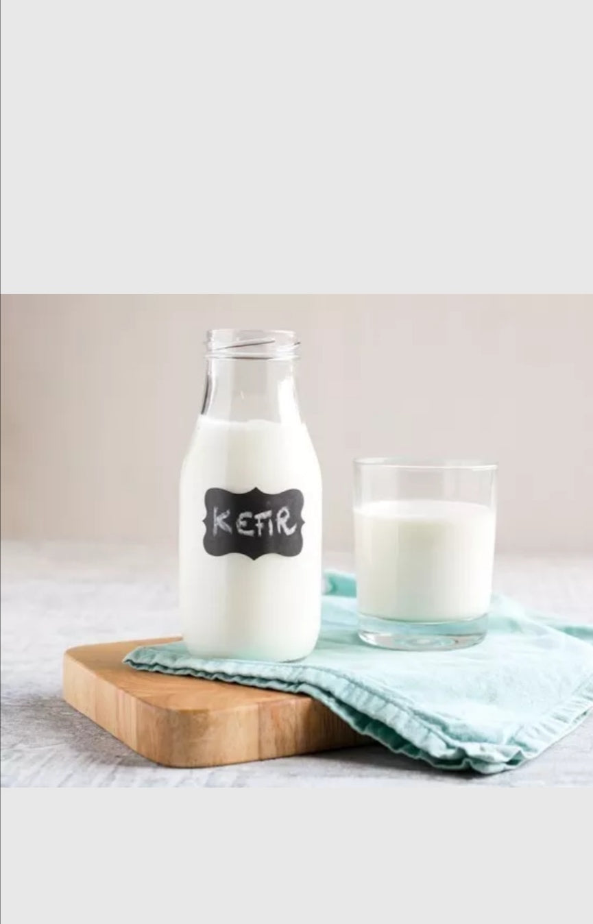 Kefir Fresh Ready to Drink Probiotic Milk Yogurt 500ml Good Gut Health Tasty x6